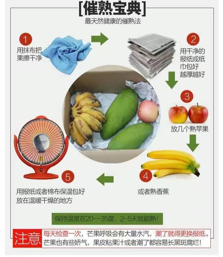 食品安全檢測儀